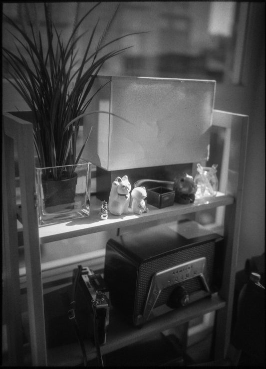 3x4 Format Sample Images