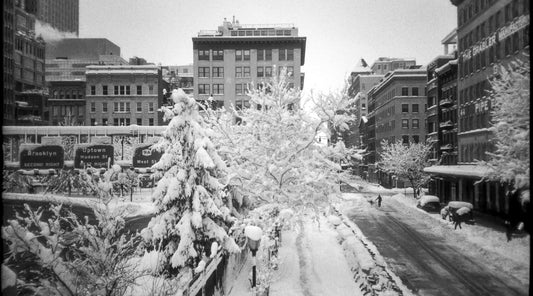 ObscuraFlex in New York Snow